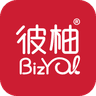Bizyul